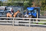 BPP_7529