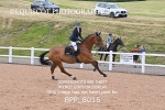 BPP_8015