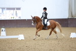 SBM_004201