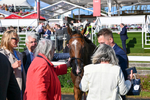 240824-Race 7-Sir Busker-1820