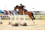 SBM_003628