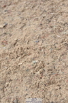 231013A-142816-02552
