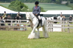 SBM_17182