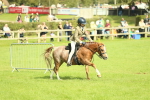 SBM_44833