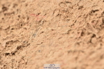 231028A-121640-01089