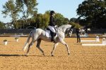 SBM_14208