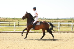 SBM_000660