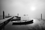 _DSC9008