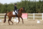 SBM_015836