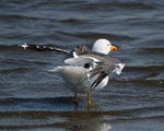 20110430-IMG_5200