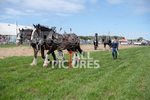 Guernsey Agricultural Show 2021-166