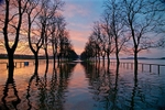 28 December 2015 CIVIC TRUST KNAVESMIRE IN FLOOD - 1 of 9