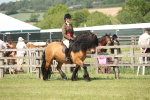SBM_07666