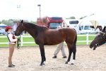 SBM_03938