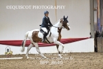 BPP_8640