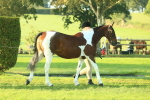 SBM_56783