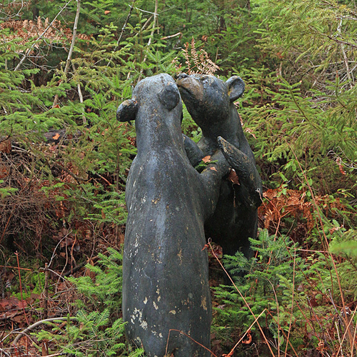 Return to Animaland in Penobsquis, NB