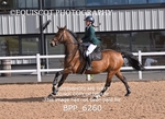 BPP_6260
