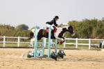 SBM_03861
