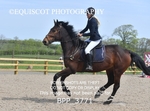 BPP_3771