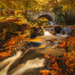 Autumn At Cloughleagh Bridge