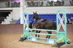 SBM_000349