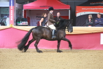 SBM_10542