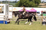SBM_17889
