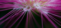 RandomAbstract 035