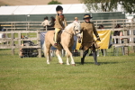 SBM_10190