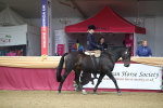 SBM_09243