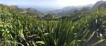 St Helena Island Sandy Bay view
