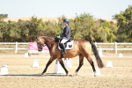 SBM_017321