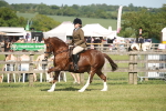 SBM_09585