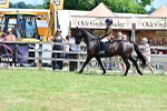 SBM_15391
