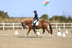 SBM_013115