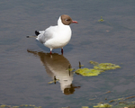 20140421-3K8A0464