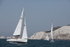 190629 GO-GO GBR4452L D43A4646