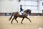 SBM_003247