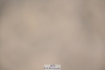 230811-095845-00195