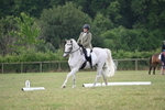 WJ6_7077