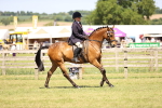SBM_18029
