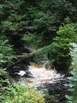 River Nant Llech