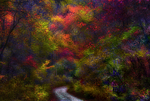 Chattahoochee Forest Georgia USA
