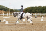 SBM_002673