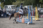 North Showjumping_2016-3