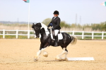 SBM_007508