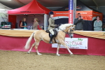 SBM_05353