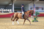 SBM_20201