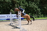 Sunday 15th - Click to View portfolio